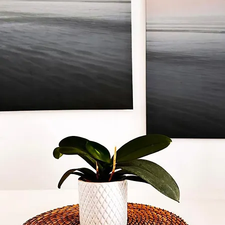 Botel La Rambla Private *